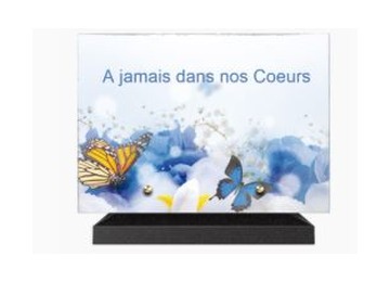 Plaque Lave Émaillée 20x30 CRM5